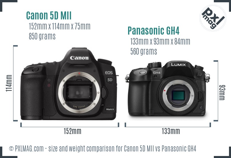 Canon 5D MII vs Panasonic GH4 size comparison