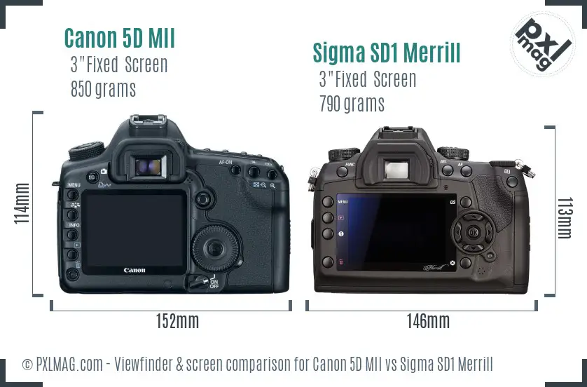 Canon 5D MII vs Sigma SD1 Merrill Screen and Viewfinder comparison