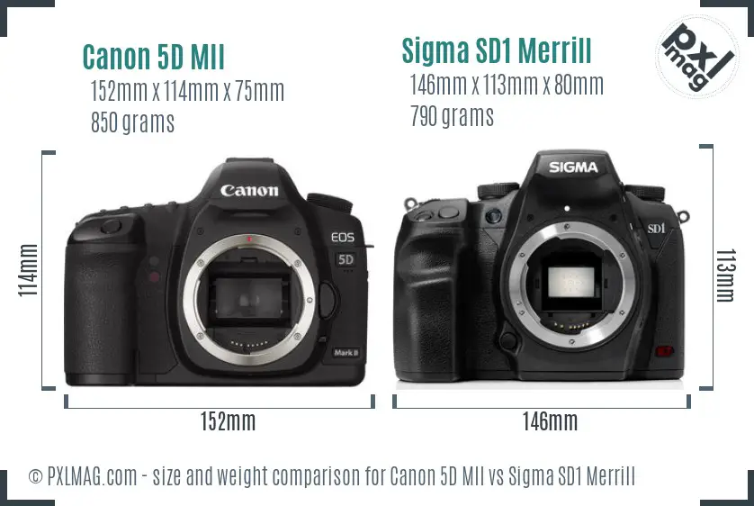 Canon 5D MII vs Sigma SD1 Merrill size comparison