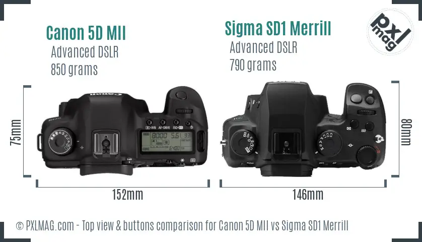 Canon 5D MII vs Sigma SD1 Merrill top view buttons comparison