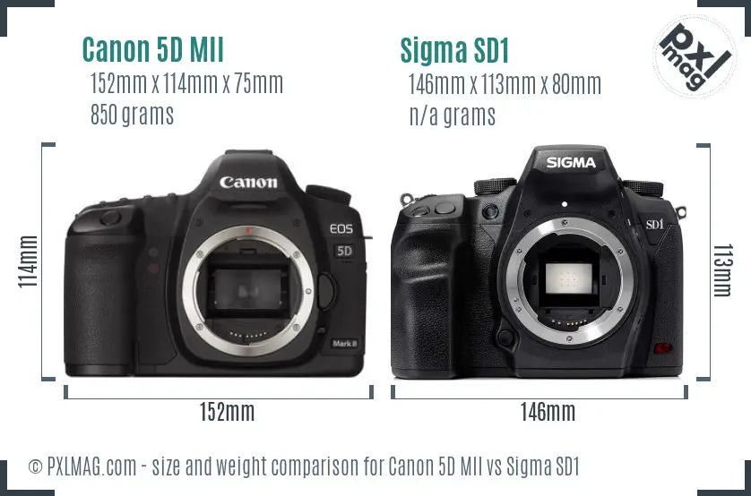 Canon 5D MII vs Sigma SD1 size comparison