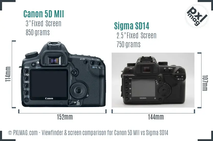 Canon 5D MII vs Sigma SD14 Screen and Viewfinder comparison