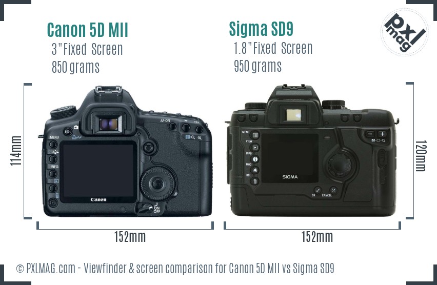 Canon 5D MII vs Sigma SD9 Screen and Viewfinder comparison
