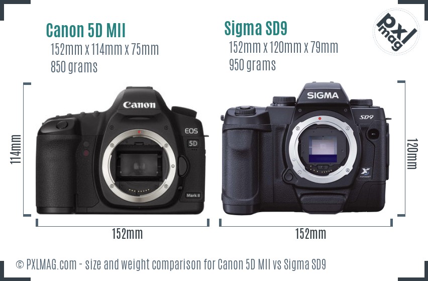 Canon 5D MII vs Sigma SD9 size comparison