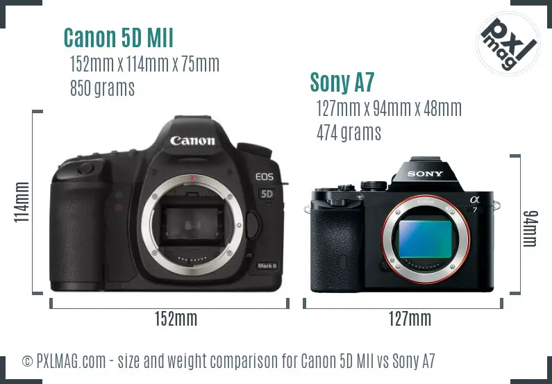 Canon 5D MII vs Sony A7 size comparison