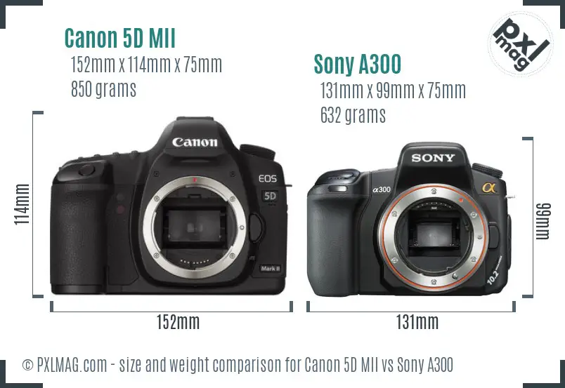 Canon 5D MII vs Sony A300 size comparison