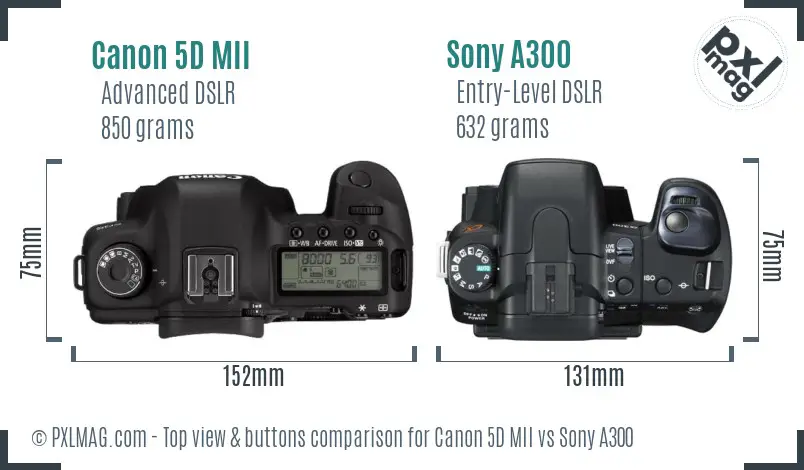 Canon 5D MII vs Sony A300 top view buttons comparison