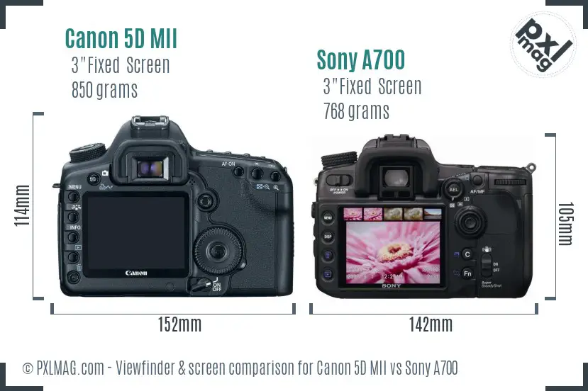 Canon 5D MII vs Sony A700 Screen and Viewfinder comparison