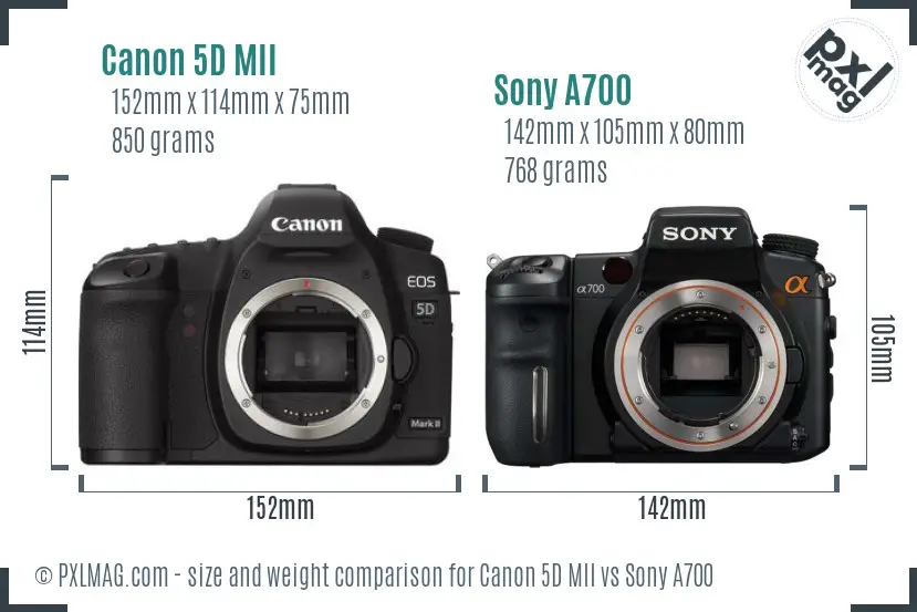 Canon 5D MII vs Sony A700 size comparison