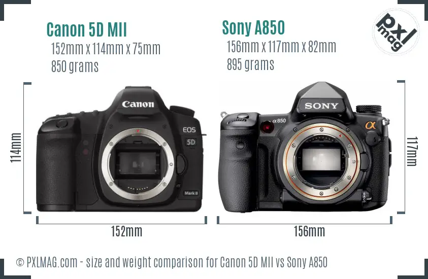 Canon 5D MII vs Sony A850 size comparison