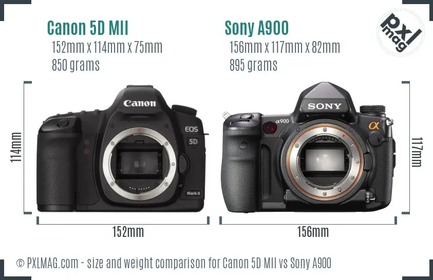 Canon 5D MII vs Sony A900 size comparison