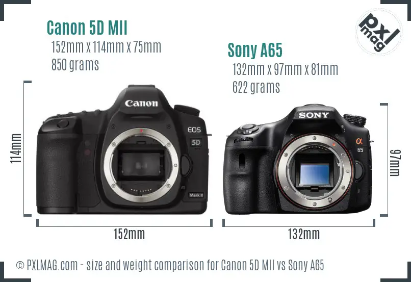 Canon 5D MII vs Sony A65 size comparison
