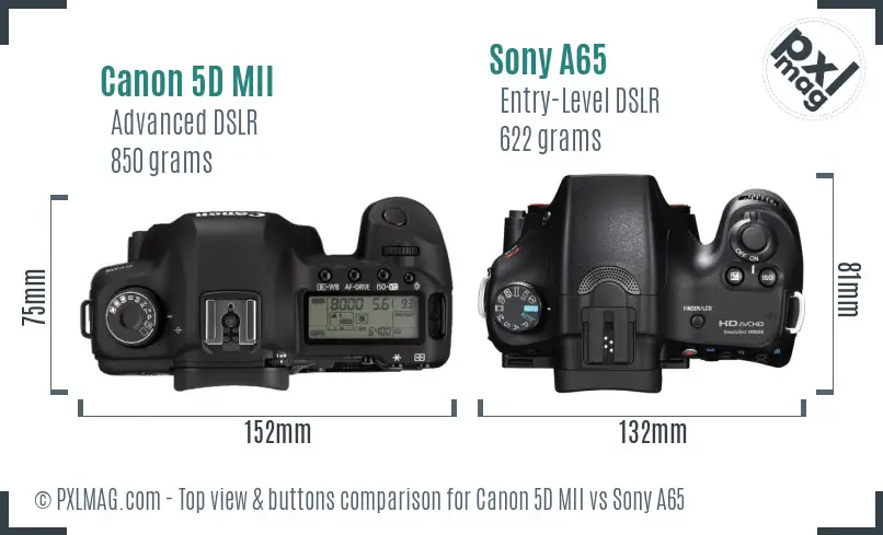 Canon 5D MII vs Sony A65 top view buttons comparison