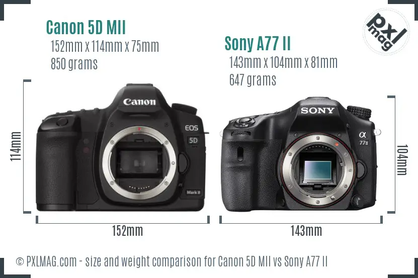 Canon 5D MII vs Sony A77 II size comparison
