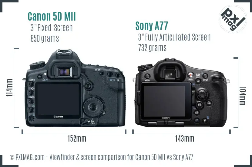 Canon 5D MII vs Sony A77 Screen and Viewfinder comparison