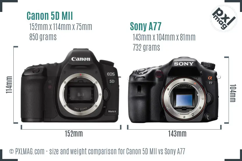Canon 5D MII vs Sony A77 size comparison