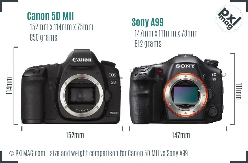 Canon 5D MII vs Sony A99 size comparison