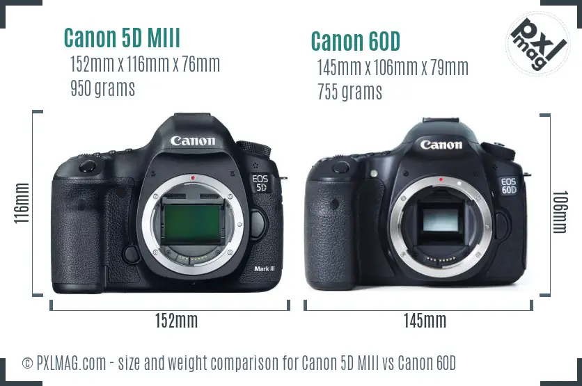 Canon 5D MIII vs Canon 60D size comparison