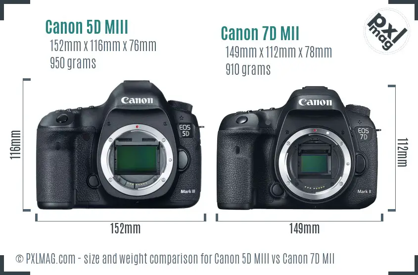 Canon 5D MIII vs Canon 7D MII size comparison