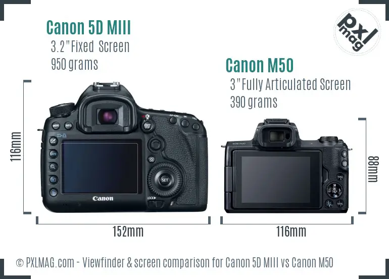 canon m50 vs 5d mark iii