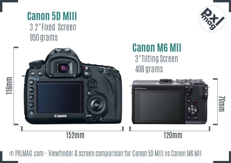 Canon 5D MIII vs Canon M6 MII Screen and Viewfinder comparison