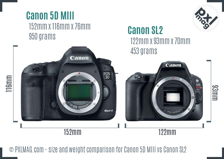 Canon 5D MIII vs Canon SL2 size comparison Canon 5D MIII vs Canon SL2 size comparison