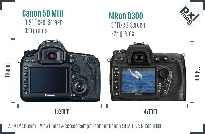 Canon 5D MIII vs Nikon D300 Screen and Viewfinder comparison