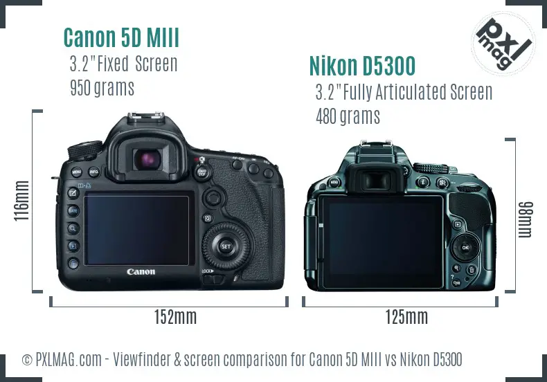 Canon 5D MIII vs Nikon D5300 Screen and Viewfinder comparison