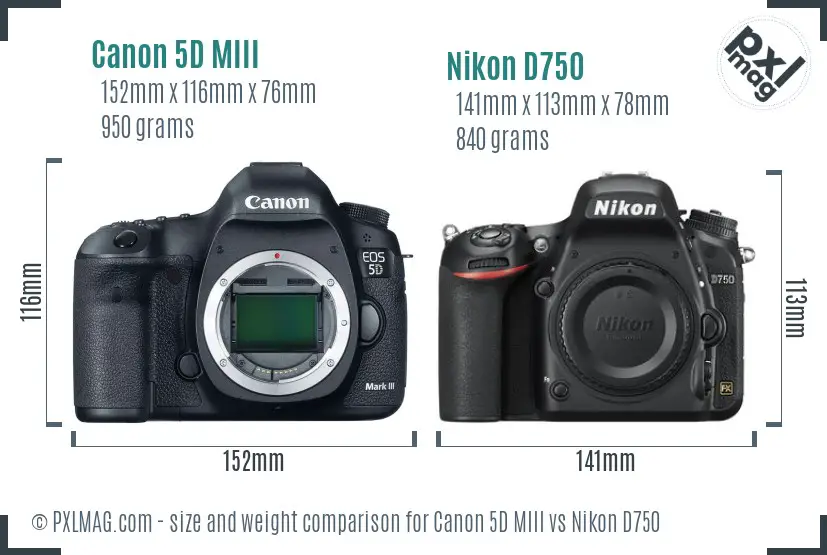 Canon 5D MIII vs Nikon D750 size comparison Canon 5D MIII vs Nikon D750 size comparison