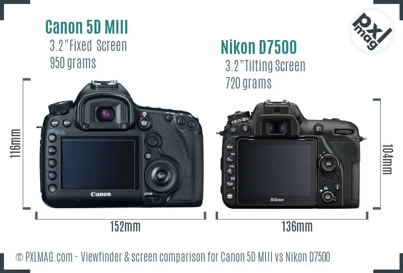Canon 5D MIII vs Nikon D7500 Screen and Viewfinder comparison