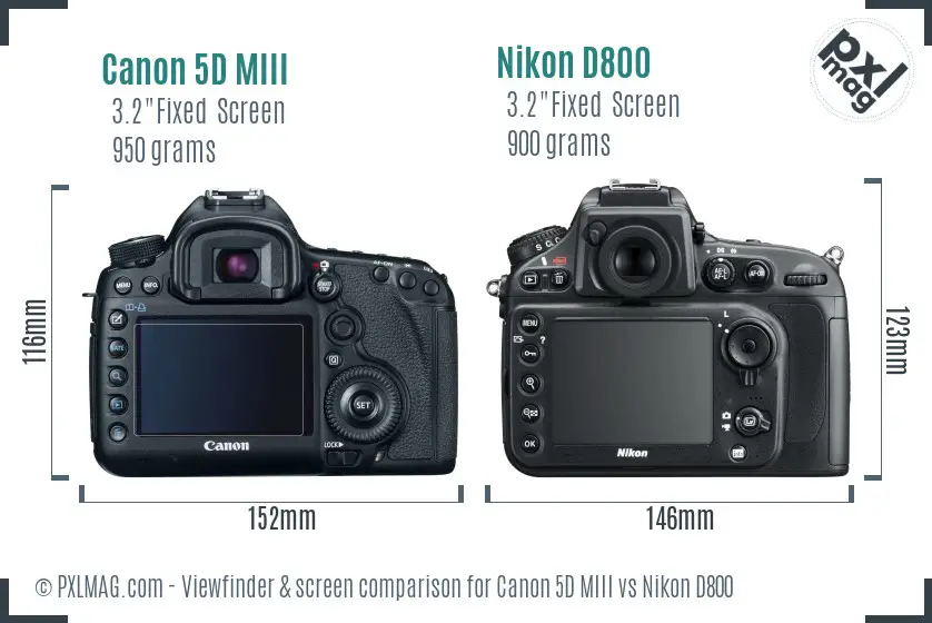 Canon 5D MIII vs Nikon D800 Screen and Viewfinder comparison