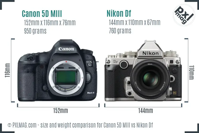 Canon 5D MIII vs Nikon Df size comparison