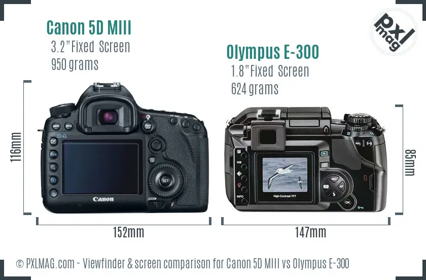 Canon 5D MIII vs Olympus E-300 Screen and Viewfinder comparison