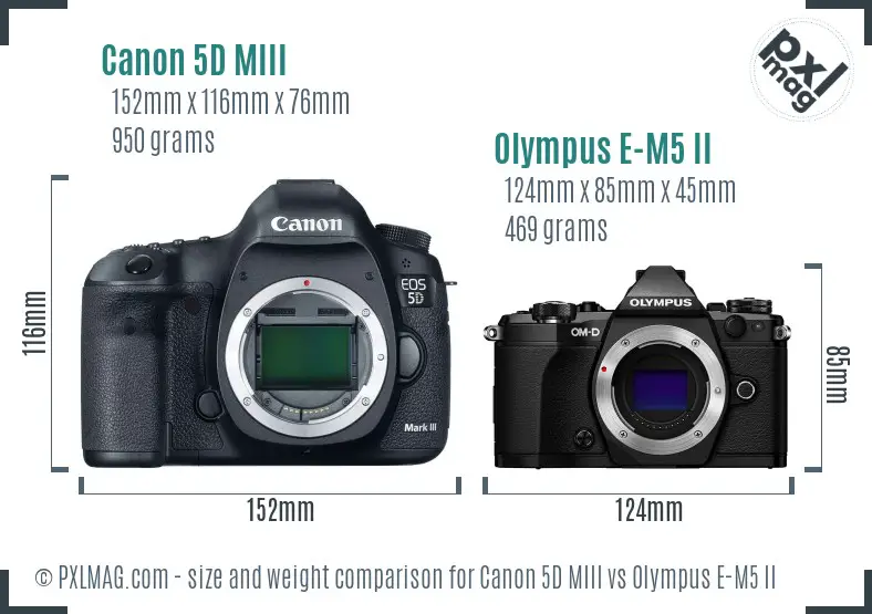 Canon 5D MIII vs Olympus E-M5 II size comparison