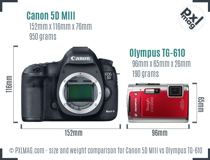Canon 5D MIII vs Olympus TG-610 size comparison