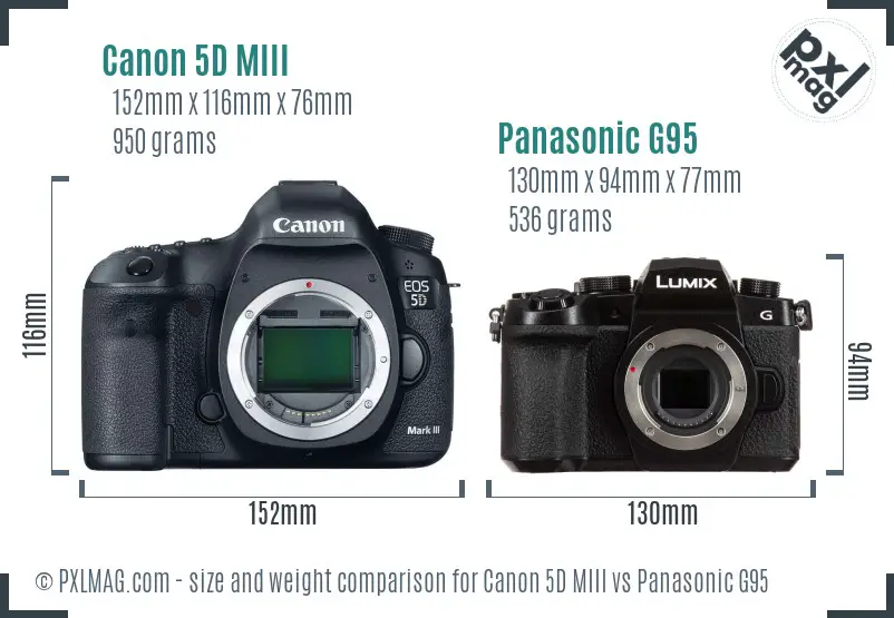 Canon 5D MIII vs Panasonic G95 size comparison