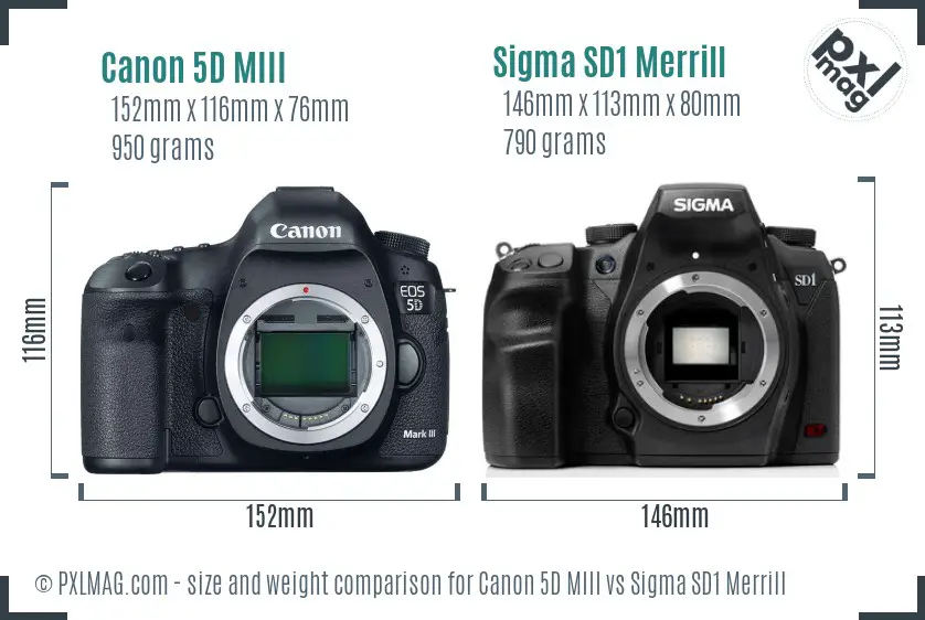 Canon 5D MIII vs Sigma SD1 Merrill size comparison