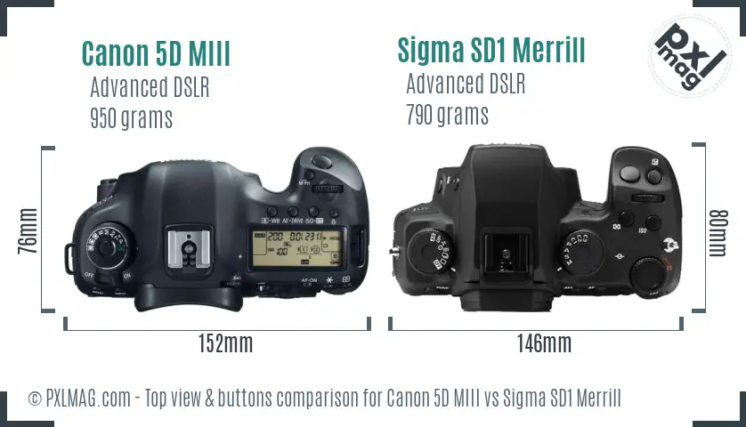 Canon 5D MIII vs Sigma SD1 Merrill top view buttons comparison