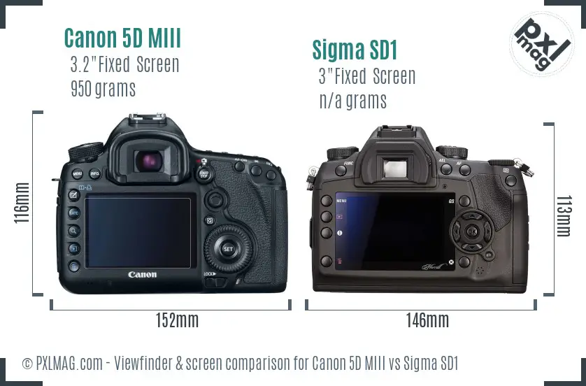 Canon 5D MIII vs Sigma SD1 Screen and Viewfinder comparison