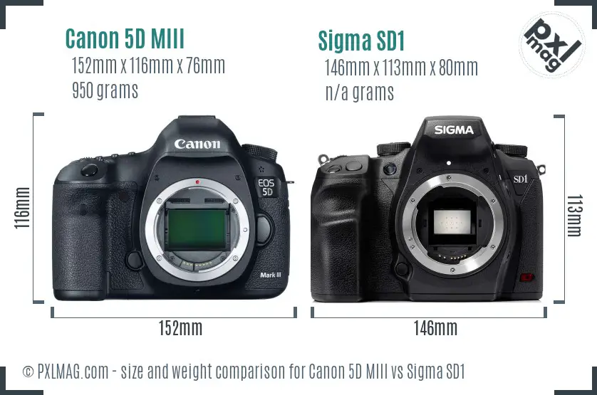 Canon 5D MIII vs Sigma SD1 size comparison
