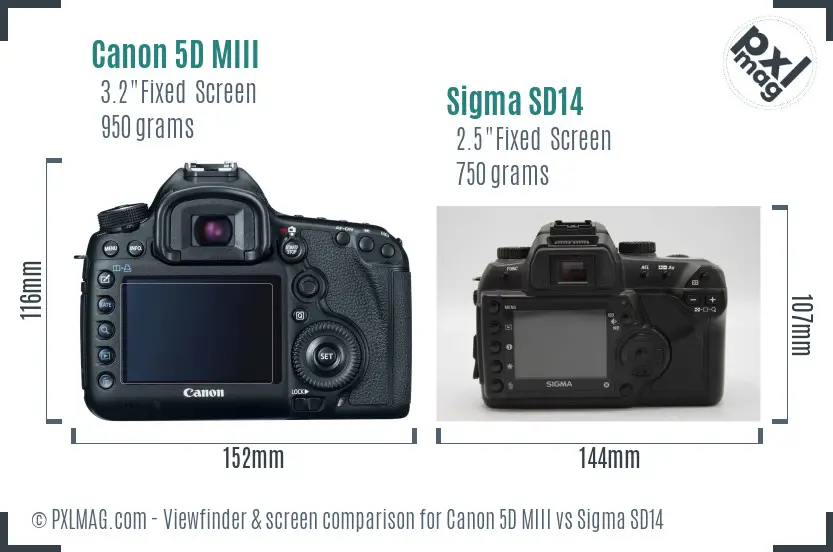 Canon 5D MIII vs Sigma SD14 Screen and Viewfinder comparison