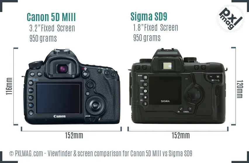Canon 5D MIII vs Sigma SD9 Screen and Viewfinder comparison