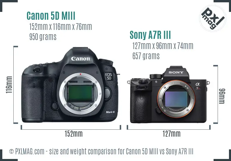 Canon 5D MIII vs Sony A7R III size comparison