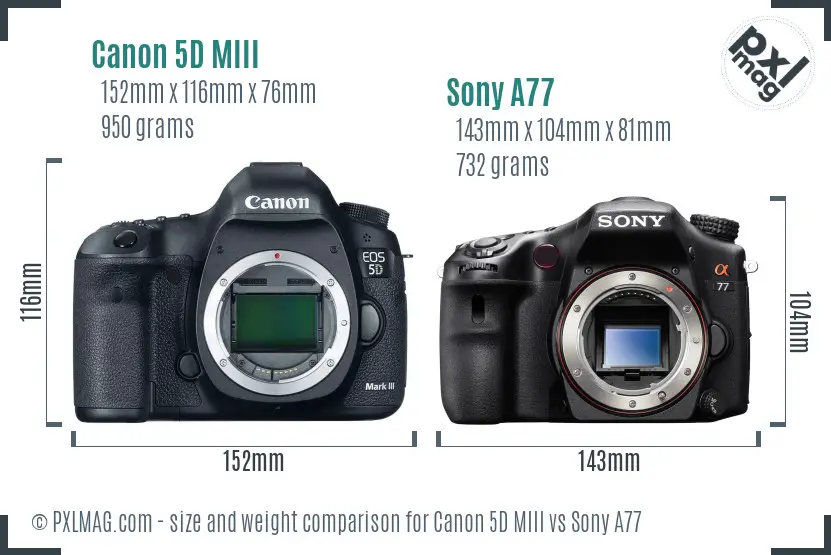 Canon 5D MIII vs Sony A77 size comparison