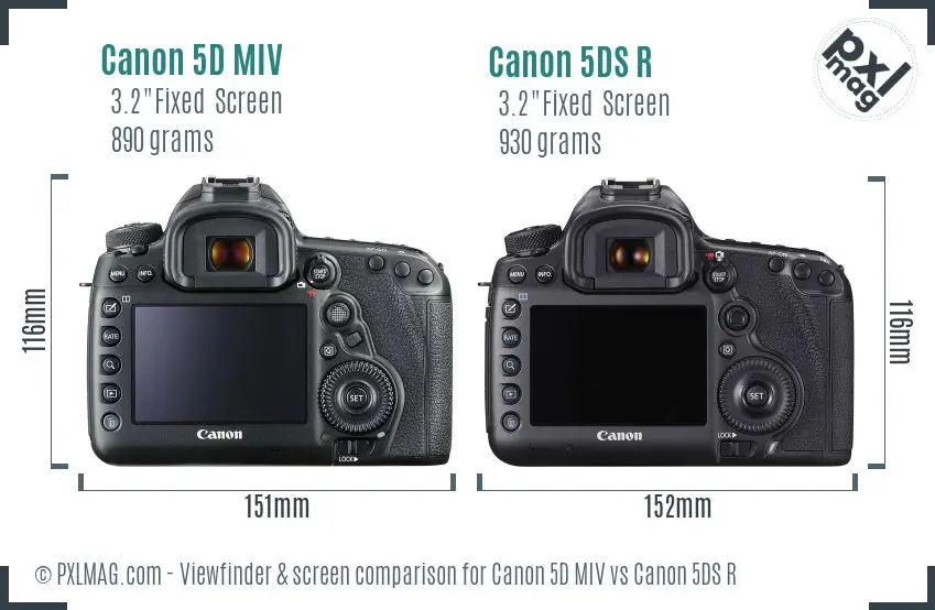 Canon 5D MIV vs Canon 5DS R Screen and Viewfinder comparison