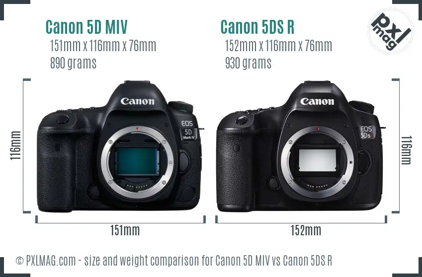 Canon 5D MIV vs Canon 5DS R size comparison