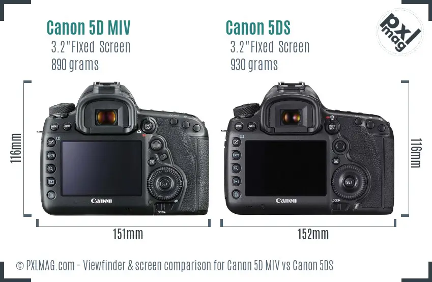 Canon 5D MIV vs Canon 5DS Screen and Viewfinder comparison