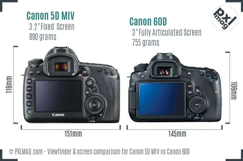 Canon 5D MIV vs Canon 60D Screen and Viewfinder comparison