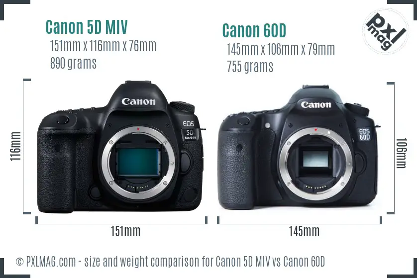 Canon 5D MIV vs Canon 60D size comparison