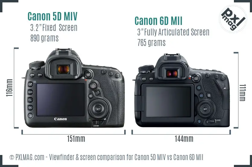 Canon 5D MIV vs Canon 6D MII Screen and Viewfinder comparison